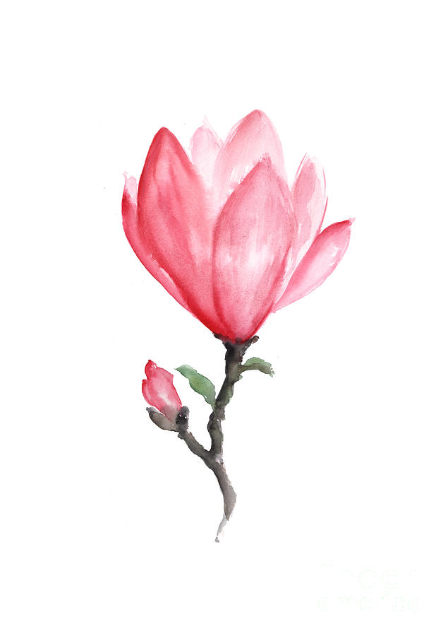 635x900 Magnolia Abstract Flower Drawing Painting - Pink Flower Drawing
