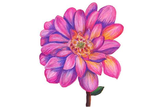 570x365 Mixed Media Flower Drawing Printable Art Floral Drawing Etsy - Pink Flower Drawing