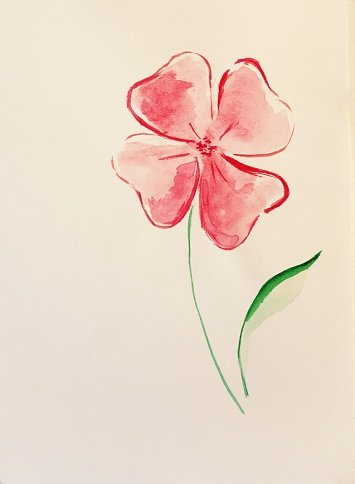 355x484 watercolor pink flower stock vectors - Pink Flower Drawing