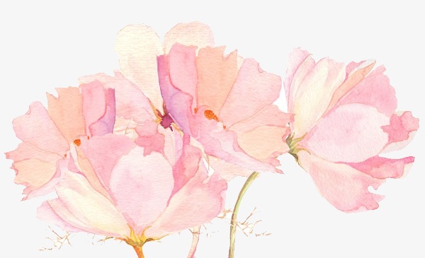 600x365 drawing decorative pink flowers, flower, flowers, watercolor - Pink Flower Drawing