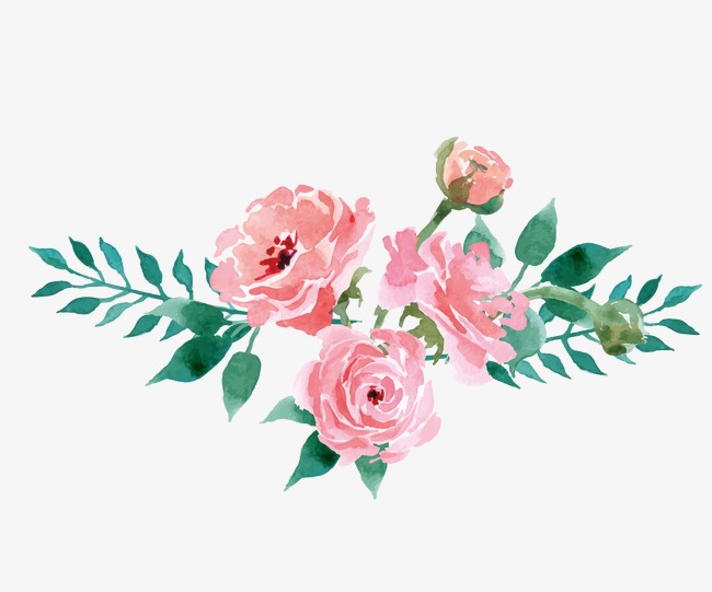 650x541 floral decoration, drawing plant, flowers, pink flowers png image - Pink Flower Drawing