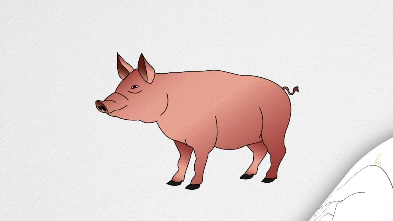 1280x720 How To Draw A Pig Step - Pink Pig Drawing