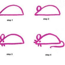 220x220 How To Draw Pink Pig - Pink Pig Drawing