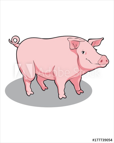 400x500 Sweet Fat Pink Pig - Pink Pig Drawing
