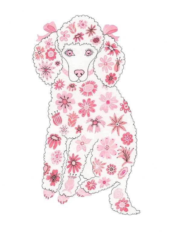 570x778 phoebe the pink poodle etsy - Pink Poodle Drawing