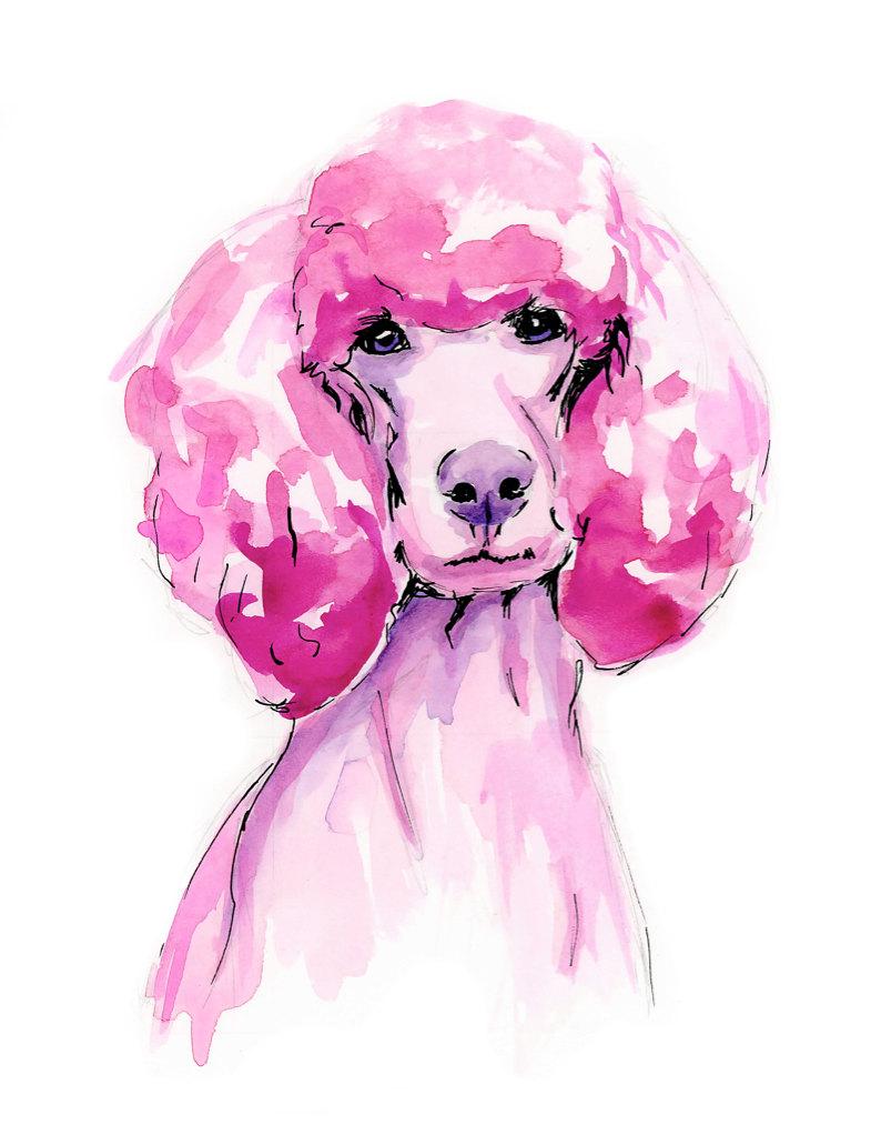 794x1031 pink poodle watercolor print etsy - Pink Poodle Drawing