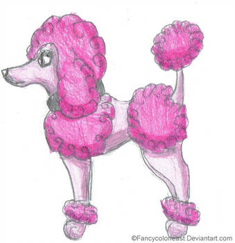 339x350 anonymous pink poodle - Pink Poodle Drawing