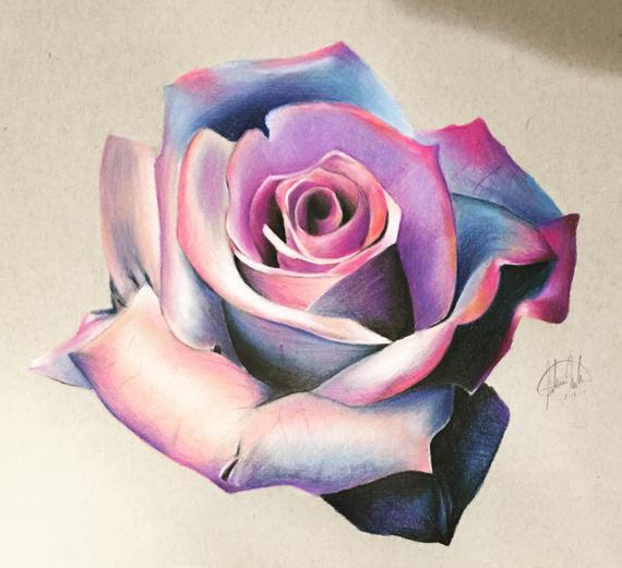 570x521 original colorful flower drawing blue and pink wall art etsy - Pink Rose Drawing
