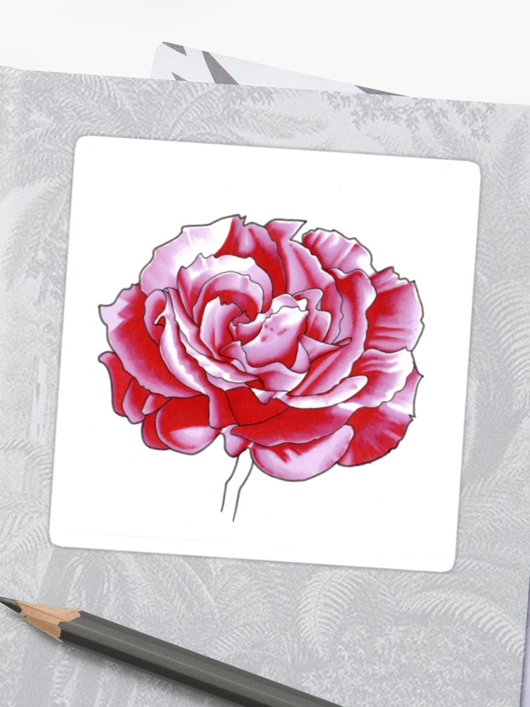 750x1000 Pink Rose - Pink Rose Drawing