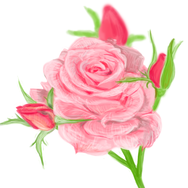 600x600 Pink Rose Drawing High Quality Drawing Skill - Pink Rose Drawing