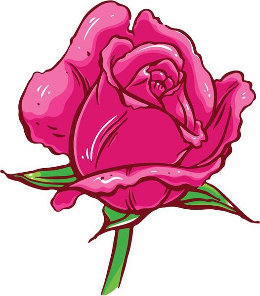 Pink Rose Drawing at PaintingValley.com | Explore collection of Pink ...