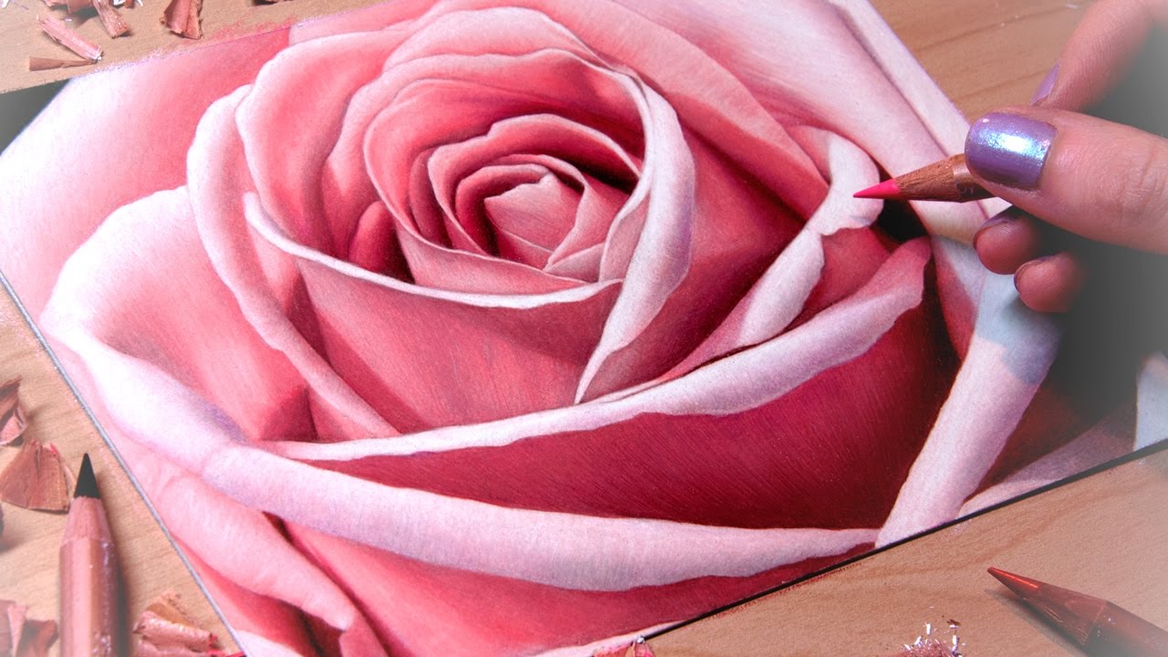 1280x720 Drawing A Rose Close Up - Pink Rose Drawing