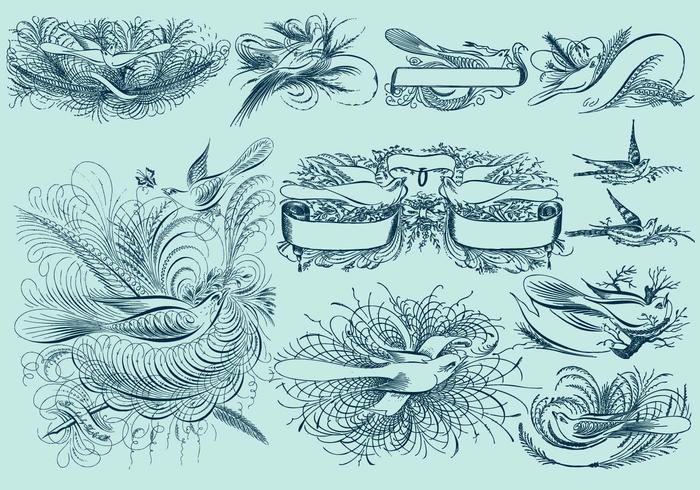 700x490 pinstripe bird drawings - Pinstripe Drawings