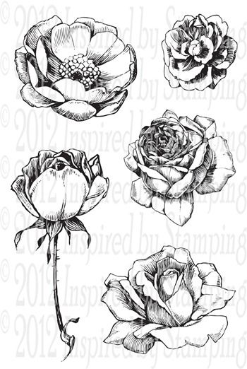 350x522 best flower sketches ideas flower drawings flowers - Pinterest Flower Drawings