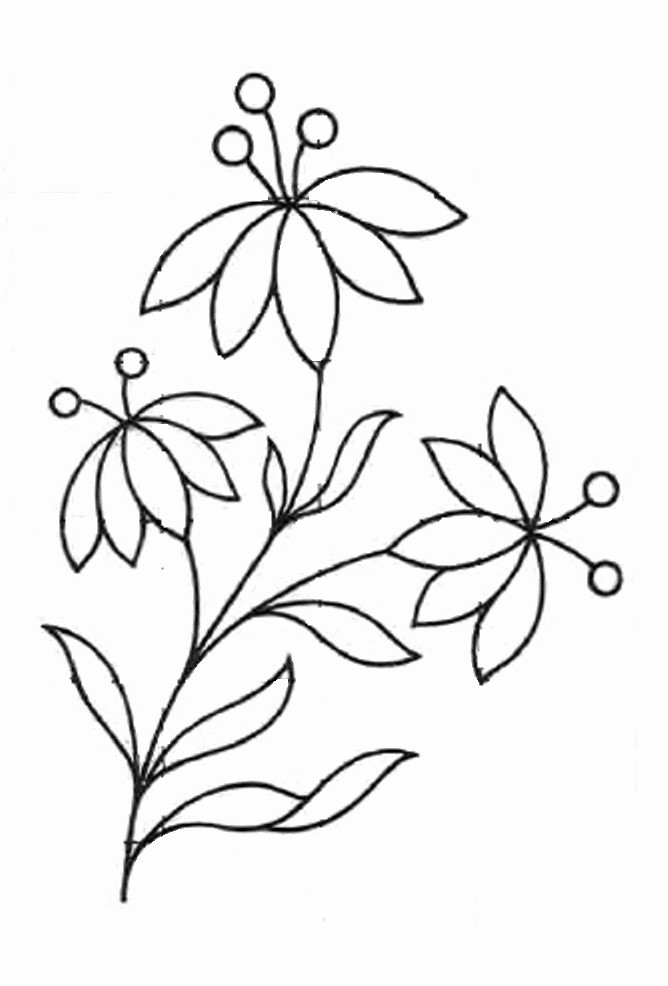 668x986 simple flower drawings - Pinterest Flower Drawings