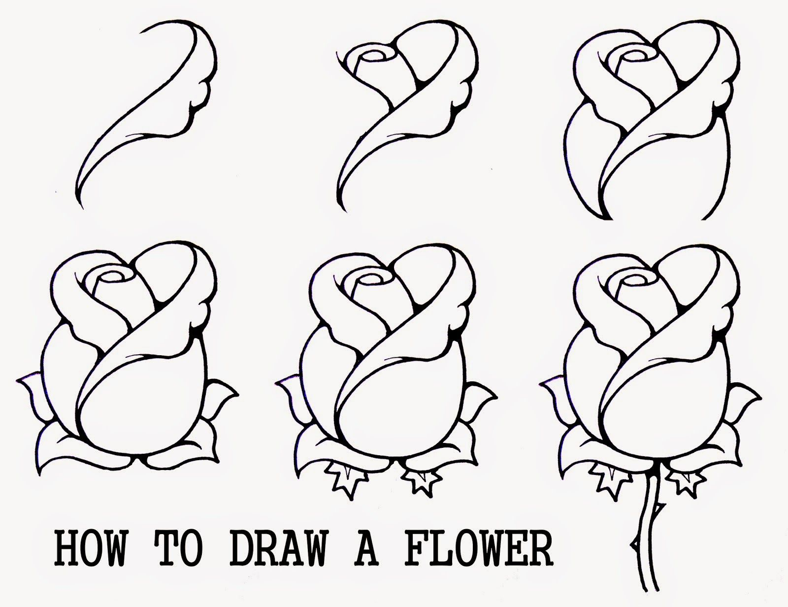 1600x1232 easy flower drawings in pencil step - Pinterest Flower Drawings