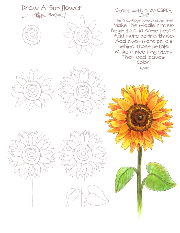 736x952 easy flower drawings for kids drawing a sunflower flower - Pinterest Flower Drawings