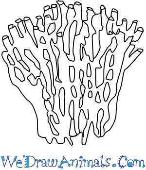 300x350 how to draw an organ pipe coral - Pipe Organ Drawing