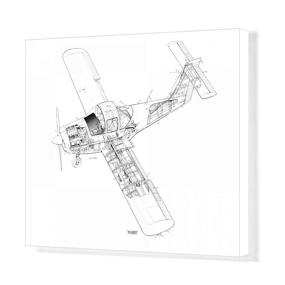 1000x1000 media storehouse print of piper pa tomahawk - Piper Drawing