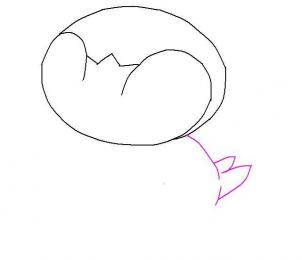 302x260 How To Draw Piplup - Piplup Drawing