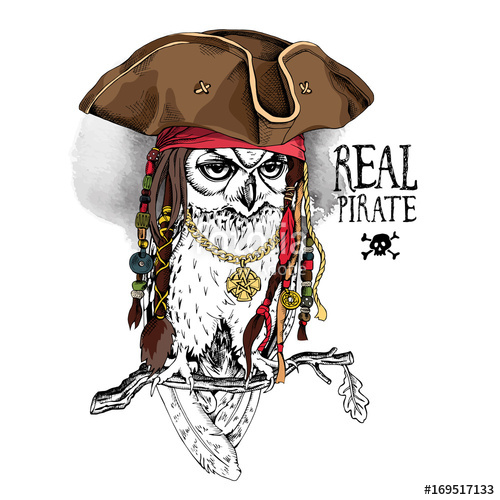 500x500 owl with dreadlocks and accessories in a pirate hat on a oak - Pirate Hat Drawing