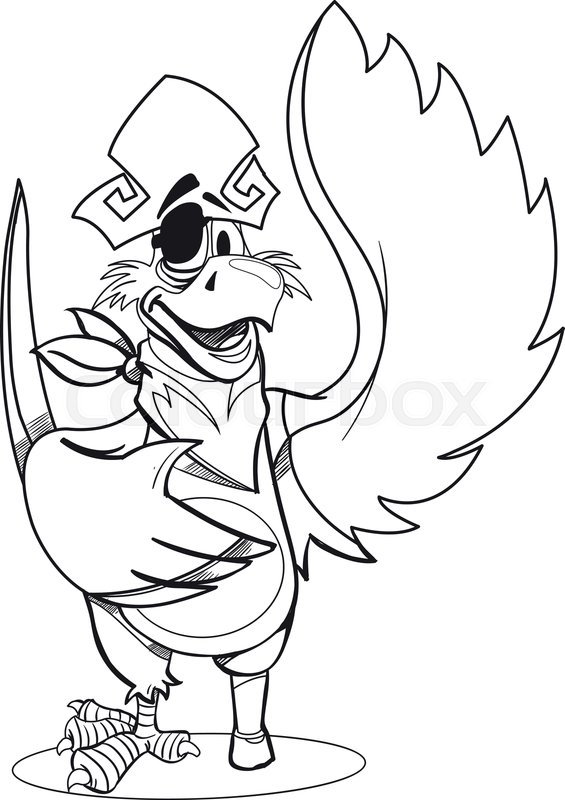 565x800 parrot in a pirate hat and eye patch stock vector colourbox - Pirate Hat Drawing