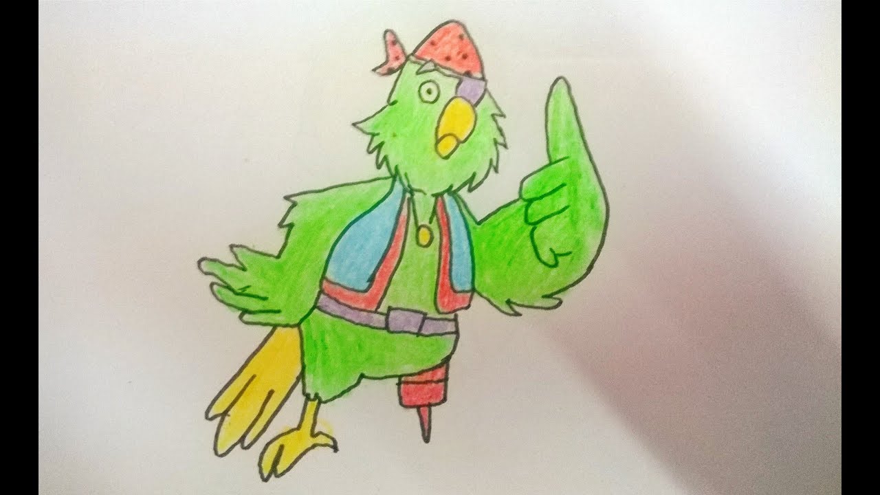 Pirate Parrot Drawing at Explore collection of