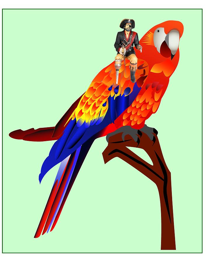 706x900 Parrot And The Pirate Drawing - Pirate Parrot Drawing