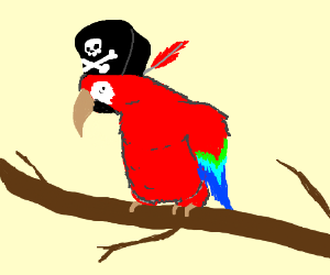 300x250 Pirate Parrot - Pirate Parrot Drawing