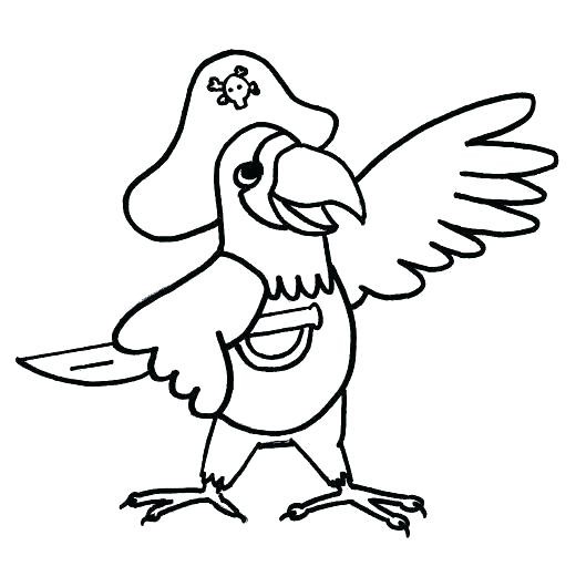 520x530 Pirate Parrot Coloring Pages Color Drawing Images Stock Photos - Pirate Parrot Drawing