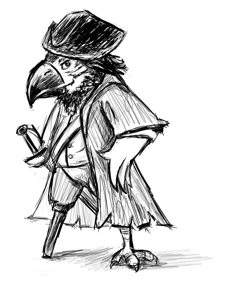 795x1005 Pirate Parrot - Pirate Parrot Drawing