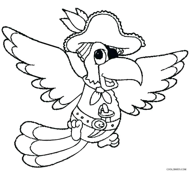Pirate Parrot Drawing at Explore collection of