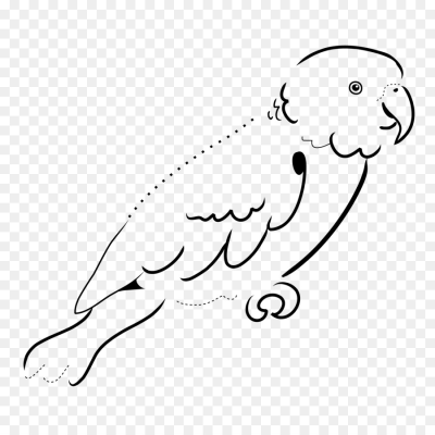 400x400 download free png art black and white parrot drawing pirate parrot - Pirate Parrot Drawing
