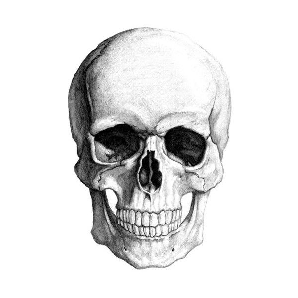600x600 how to draw realistic skull and pirate skull liked on polyvore - Pirate Skull Drawing