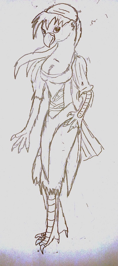 410x917 parrot pirate wench weasyl - Pirate Wench Drawing