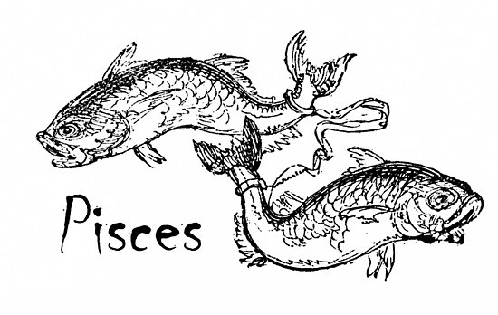 550x348 pisces line art drawing posters - Pisces Drawing