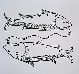 300x283 pisces zodiac drawings fine art america - Pisces Drawing