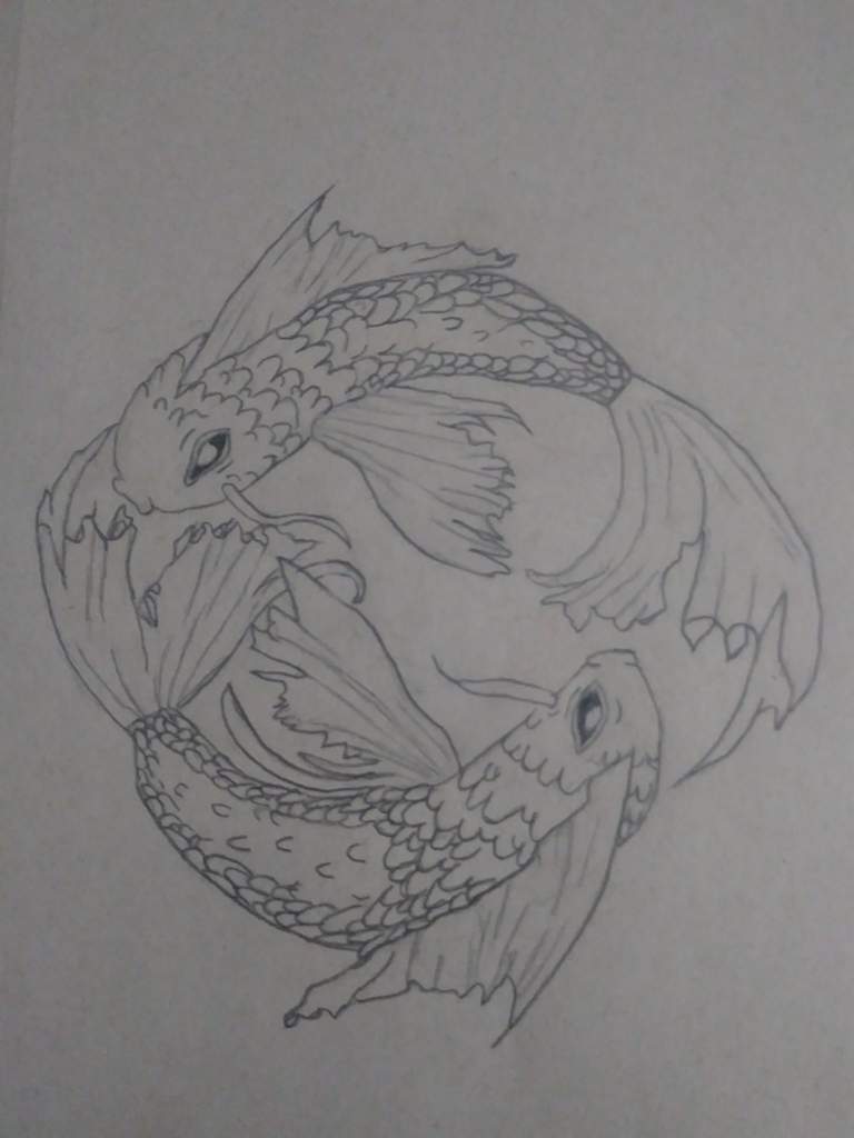 768x1024 pisces drawing amino - Pisces Drawing