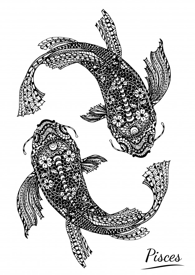 626x885 pisces of zodiac - Pisces Drawing