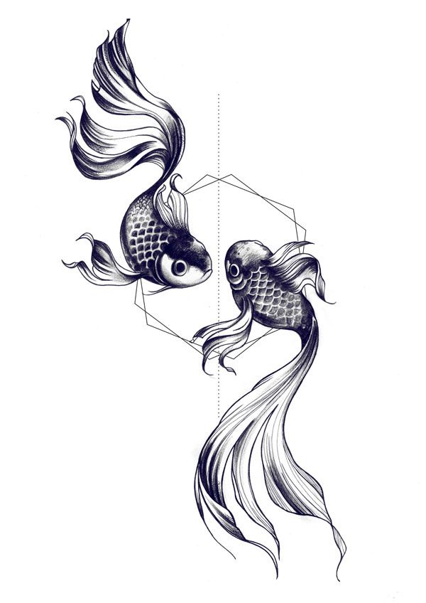 600x848 fishes drawing - Pisces Fish Drawing