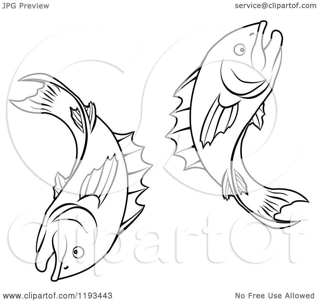 1080x1024 clipart of a black and white line drawing of the pisces fish - Pisces Fish Drawing