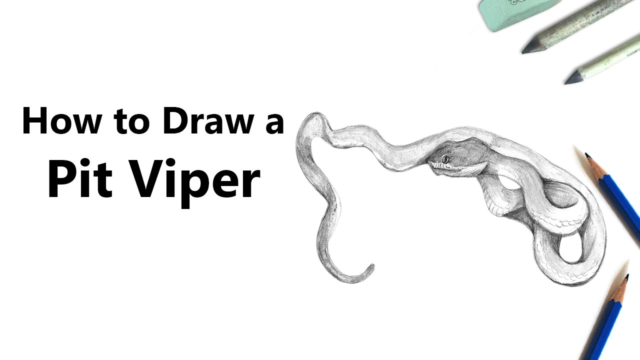 1280x720 how to draw a pit viper with pencils - Pit Drawing