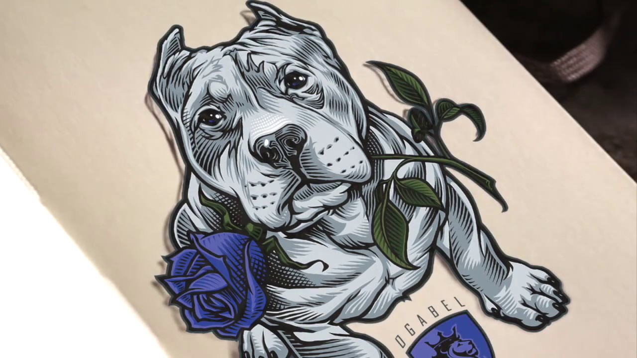 1280x720 huge collection of 'pitbull cartoon drawing' download more than - Pitbull Cartoon Drawing