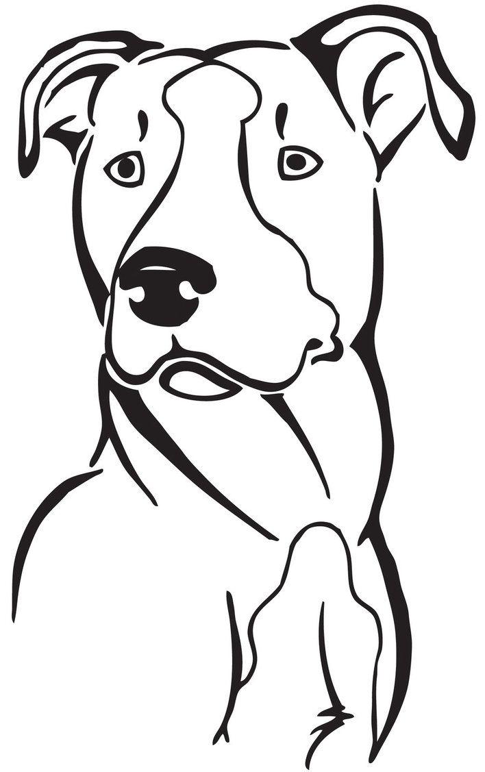 708x1127 patterns art, dog stencil, pitbull drawing - Pitbull Cartoon Drawing