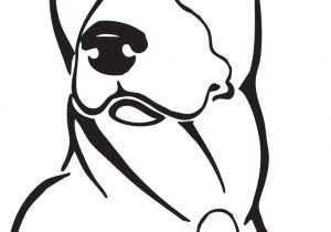 300x210 pit bull drawing - Pitbull Cartoon Drawing