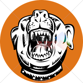 340x340 stock illustration of cartoon drawing of angry pitbull head inside - Pitbull Cartoon Drawing