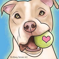 236x236 cartoon pit bulls drawing pit bull smile art print dog - Pitbull Cartoon Drawing