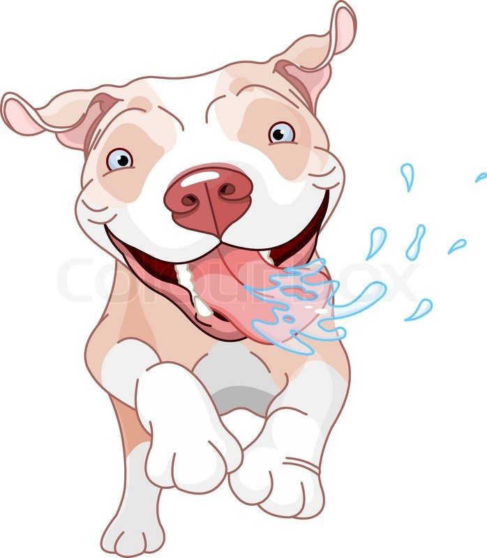 698x800 cartoon pit bulls drawing stock vector of 'excited pit bull dog - Pitbull Cartoon Drawing