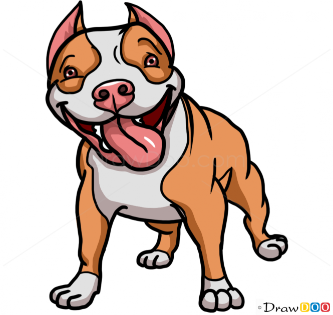 665x630 how to draw cute pit bull, dogs and puppies just nice to look - Pitbull Dog Drawing