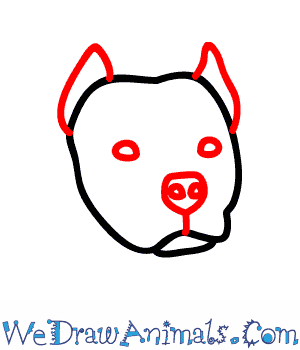 300x350 how to draw a pitbull dog - Pitbull Dog Drawing